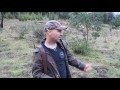 The final Hunt. Finding the pigs and getting the pigs isn't as easy as you think. it takes time and effort and a bit of luck.