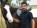 Yaar Anmulle