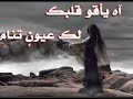 حمد السعيد قصيده حزينه.flv