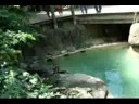 Pittsburgh Zoo Beavers