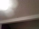 nicole & danielle: centipedes attack
