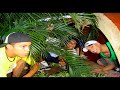 Documentário Com a Banda Medida Salvadora