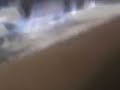When Ants Attack When Ants Attack