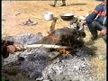 Goat Picnic