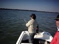 Dorados - Paso de la Patria - Pesca - Fishing