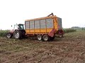 Mais Hakselen met PZ Harvall