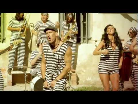 el chinchilla - libre