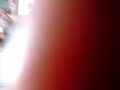 wiifit+を妹にやらせてみた