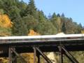 videos de Amtrak Talgo Cascades