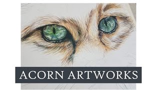 Part 1 - Eyes and Fur - Deconstructed Painting of a Cat