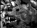 Skinny Puppy - Incision Skinny Puppy - Incision