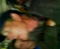 bubi en la cueva