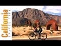 Ver Video