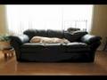 videos de Beau