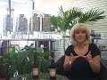 Miss Olive Oil Introduces Strawberry Balsamic Vinegar