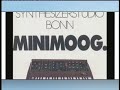 minimoogv history