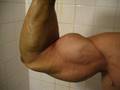 Bodybuilder Flexing Abs, Biceps