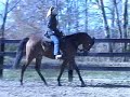 Missy ride.wmv