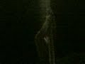 falling from lampost