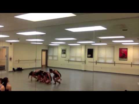 Institute of Dance Artistry Announces 2014 Summer Intensive Workshop