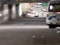 piques de caballitos en cotiza