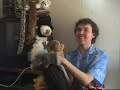 the puppet master is a mockumentary about the members of the 