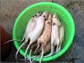 SOPRENDENTE SOBRE LA COMIDA  CHINA