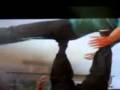  - MovieZen Video