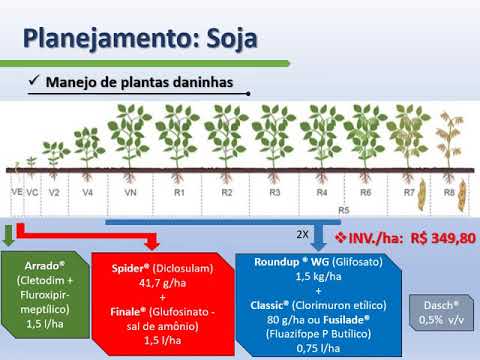 Planejamento da cultura da Soja (Glycine max)