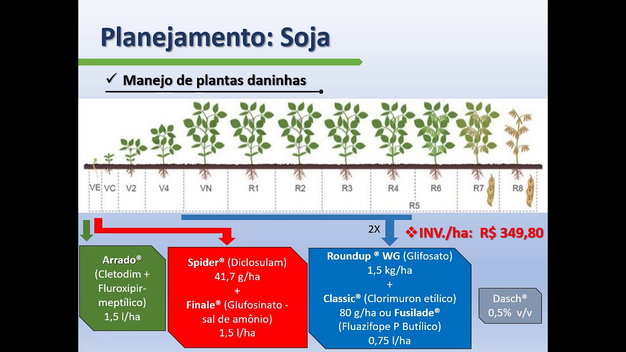 Planejamento da cultura da Soja (Glycine max)