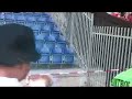 Supporters Allemands