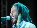 ziggy-marley.html