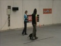 Czech obedience championship 2009, OB2: Sofie, 1st part.wmv