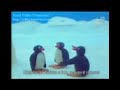 Pingu sputim Pingu sputim