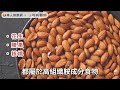 蕁麻疹大爆發，是免疫系統太差惹禍？陳玄祥醫師：4類高組織胺食物少碰