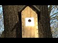 Tit Box TV - Leaked exclusive intro to the Tit Box Camera