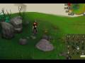 Turkey Emote Glitch Video Turkey Emote Glitch Video