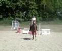Gamète au trot