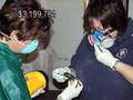 National Credit Union Foundation Hurricane Katrina Video