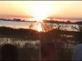 videos de Borde del río con mis perras.
