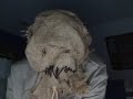 Batcave: Scarecrow Escapes