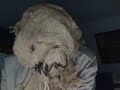 Batcave: Scarecrow Escapes
