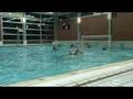 Bolsward H1-HZPCAvena 04-10-2008 per2