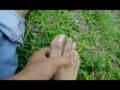 uNp-CrockCrew-Wid