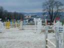 Mandy C1 Maisons Laffitte 301108