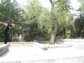 videos de trip to kg 2008