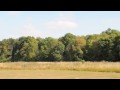NICOLAS LORION EASY-HELI trex 450 pro mccr 09