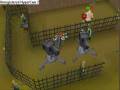The Great Ogre Massacre