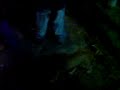 harrys-water-park-trinidad-real-kixxx.html