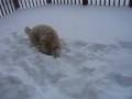 videos de I Love Snow